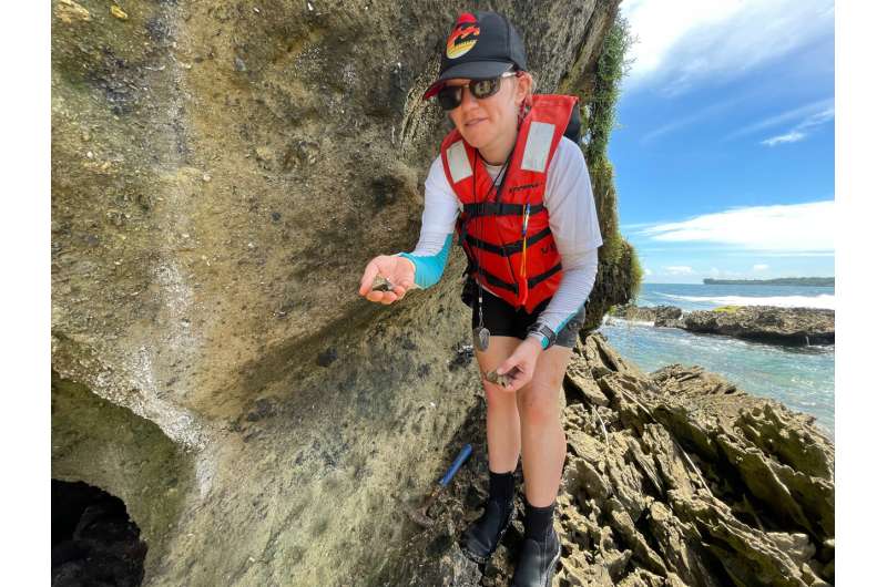 Two oceans, One Country and Twenty Times the Sharks