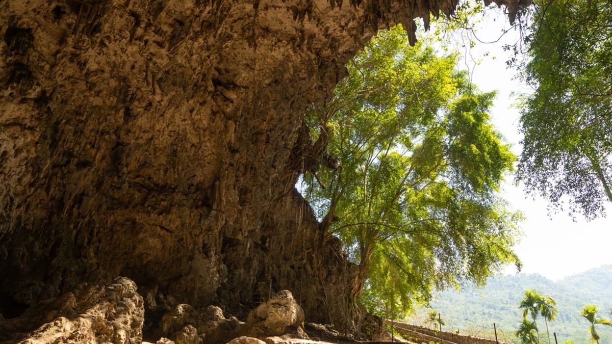 Hobbit” İnsanının Pelvis Yapısı, İnsan Gibi Kalça Mekaniğine Sahip Olduğunu ve Daha Önce Düşünüldüğünden Daha Fazla Ortak Nokta”
