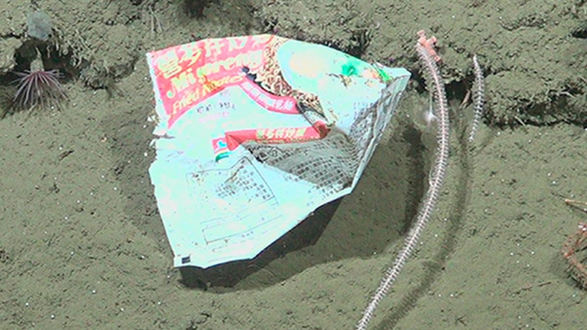 Argentina’nın Deniz Tabanında 2 Kilometre Derinlikte Atık Tespit Edildi; Mi Goreng Noodles Paketine Karşılaşıldı