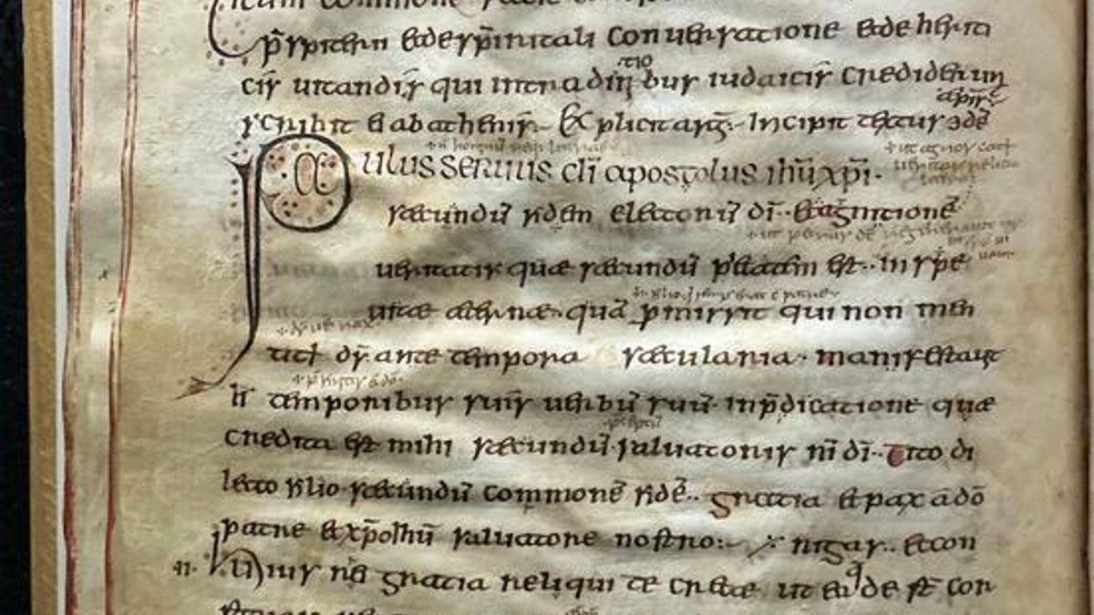 Orta Çağ Belgelerinin İçindeki DNA, Asırlık Koyun Virüsünün İzlerini Taşımakta