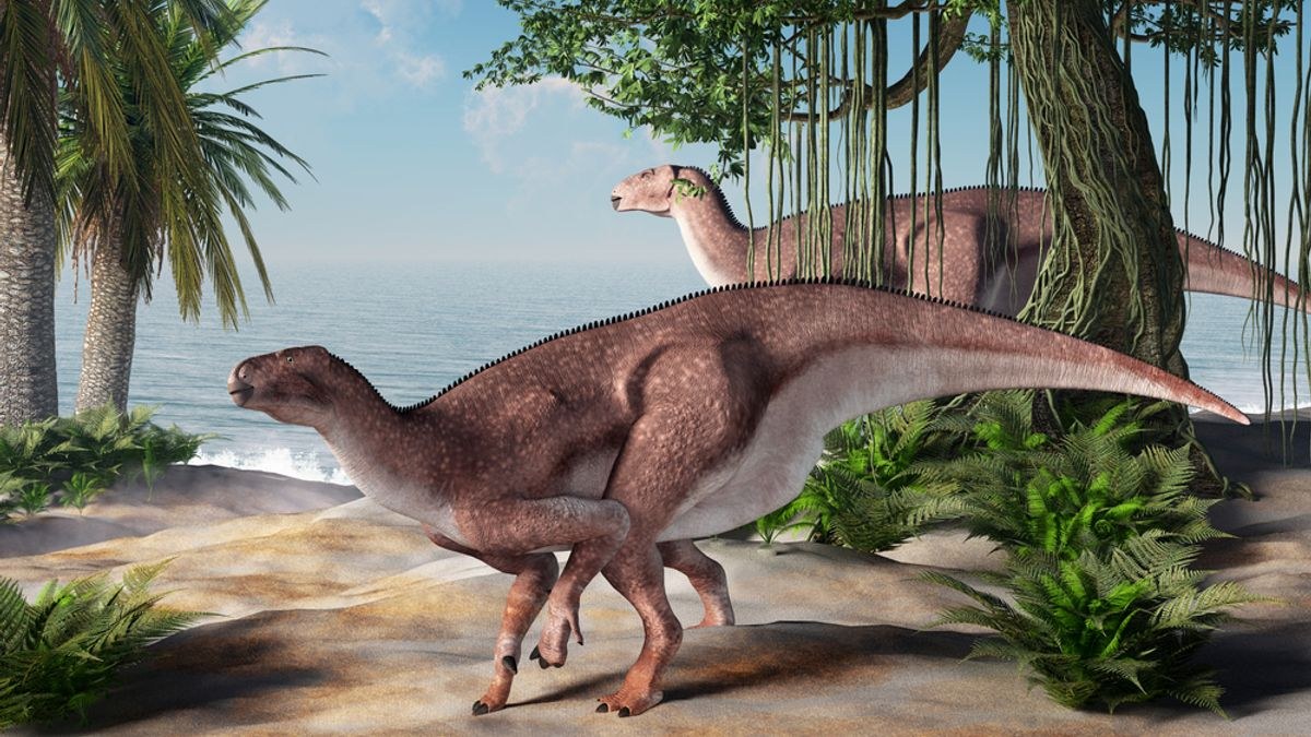 Erken dönemdeki bir İguanodon kemiğindeki şişlik, dinozorlarda bilinen ilk enfekte ülser örneğini ortaya çıkarabilir