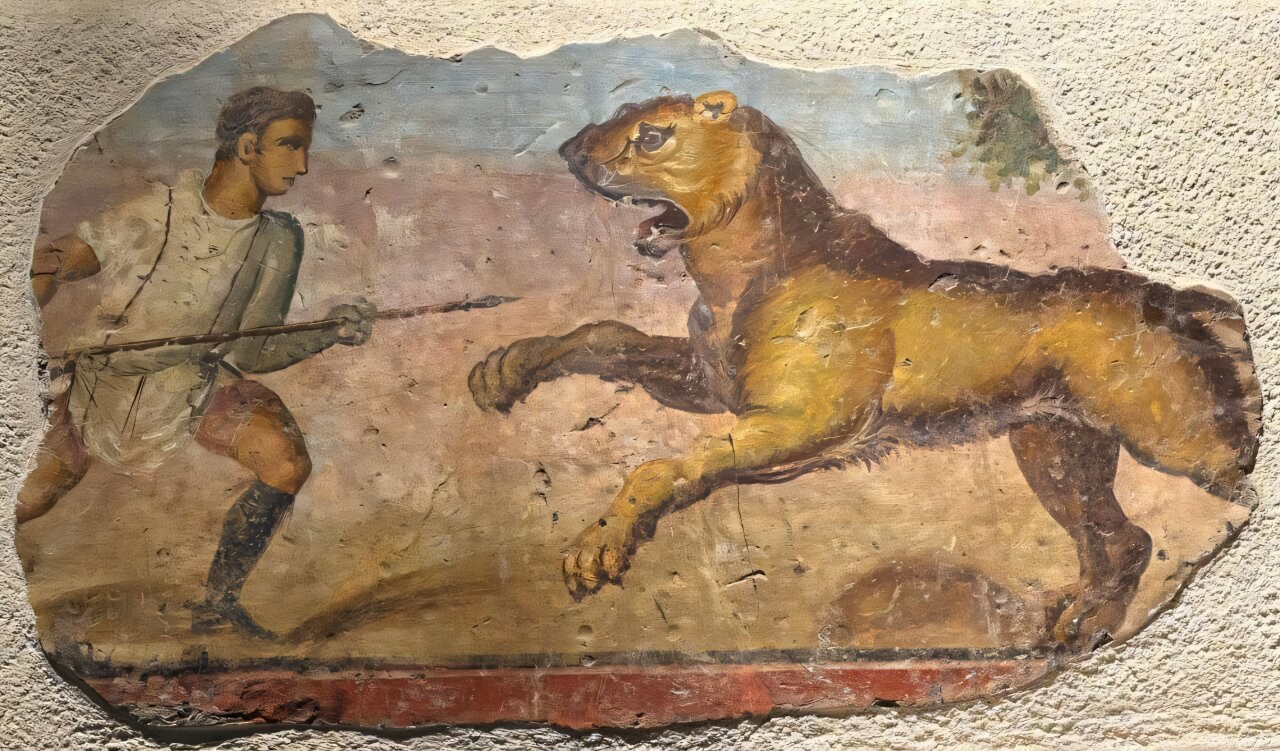 Roma Dönemi Kanunları, Amfi Tiyatro Gösterilerindeki Hayvanların Tedarik Sistemini Ortaya Çıkardı