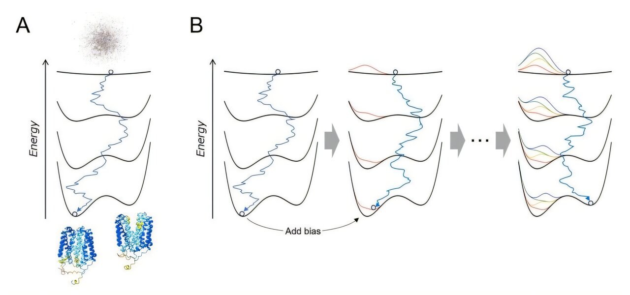 Breaking through AlphaFold's limits to predict how proteins change shape