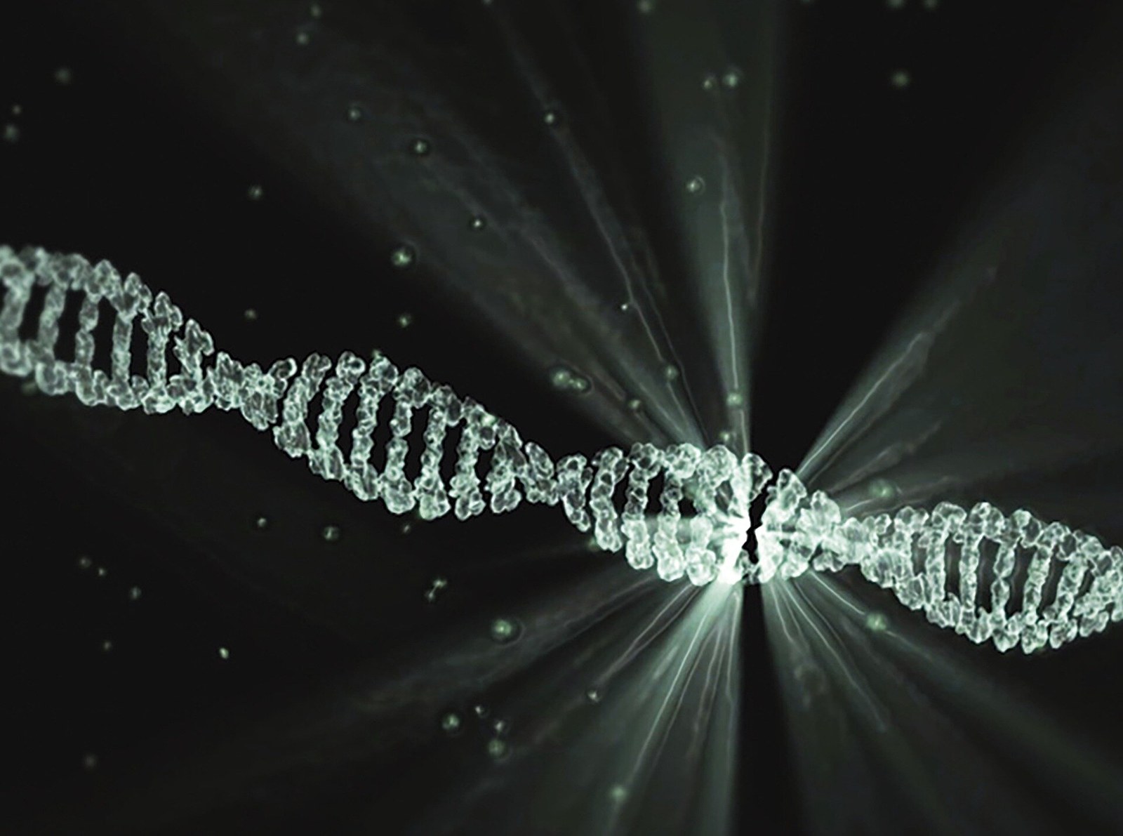 Doğal Bir Enzim Tarafından Doğruluğu Kanıtlanmış Sekiz Harfli DNA Alfabeti