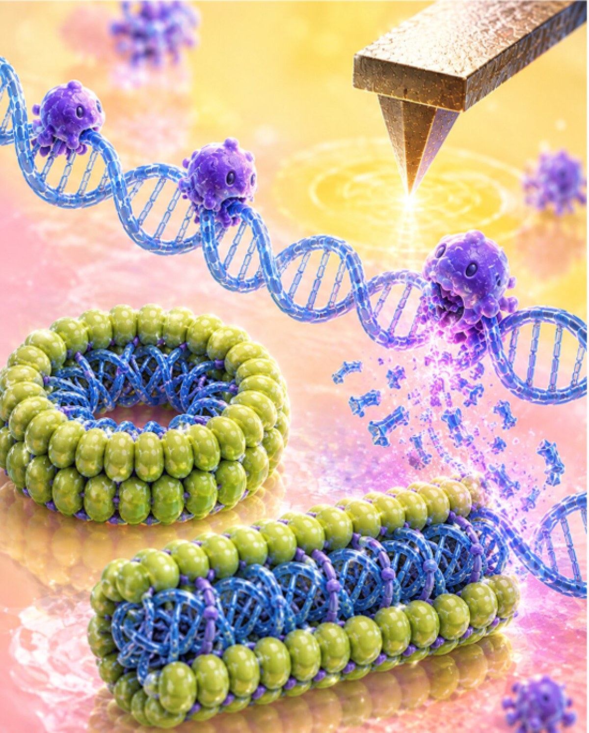 Bilim insanları DNA’ya kesen enzimlerin gerçek zamanlı hareketini ilk kez görüntüledi