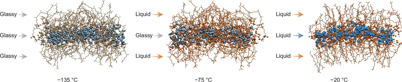 Nanoteknoloji İle Buz Kristalleşmesi Engellendi, Suyun Sıvıdan Cam Hale Geçişi Gözlemlendi