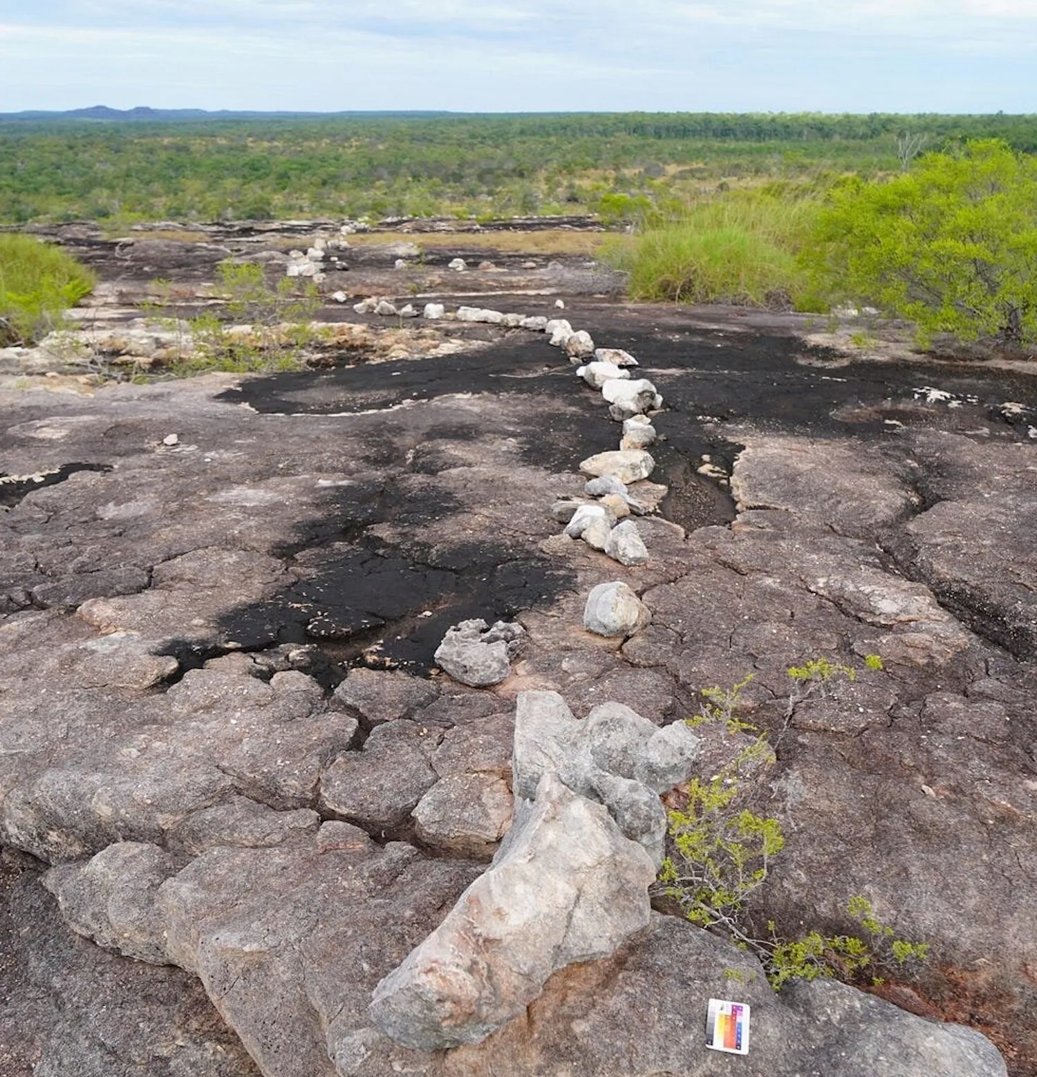 Rainbow Serpent rock art grew larger as Europeans colonized Aboriginal Australia