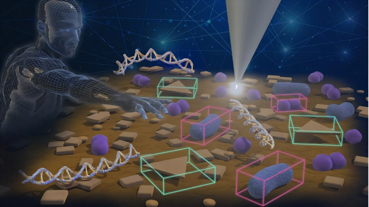 Yapay Zeka, Mikroskoplara En Bilgilendirici Nanoscale Özellikleri Bulmada Yardım Ediyor