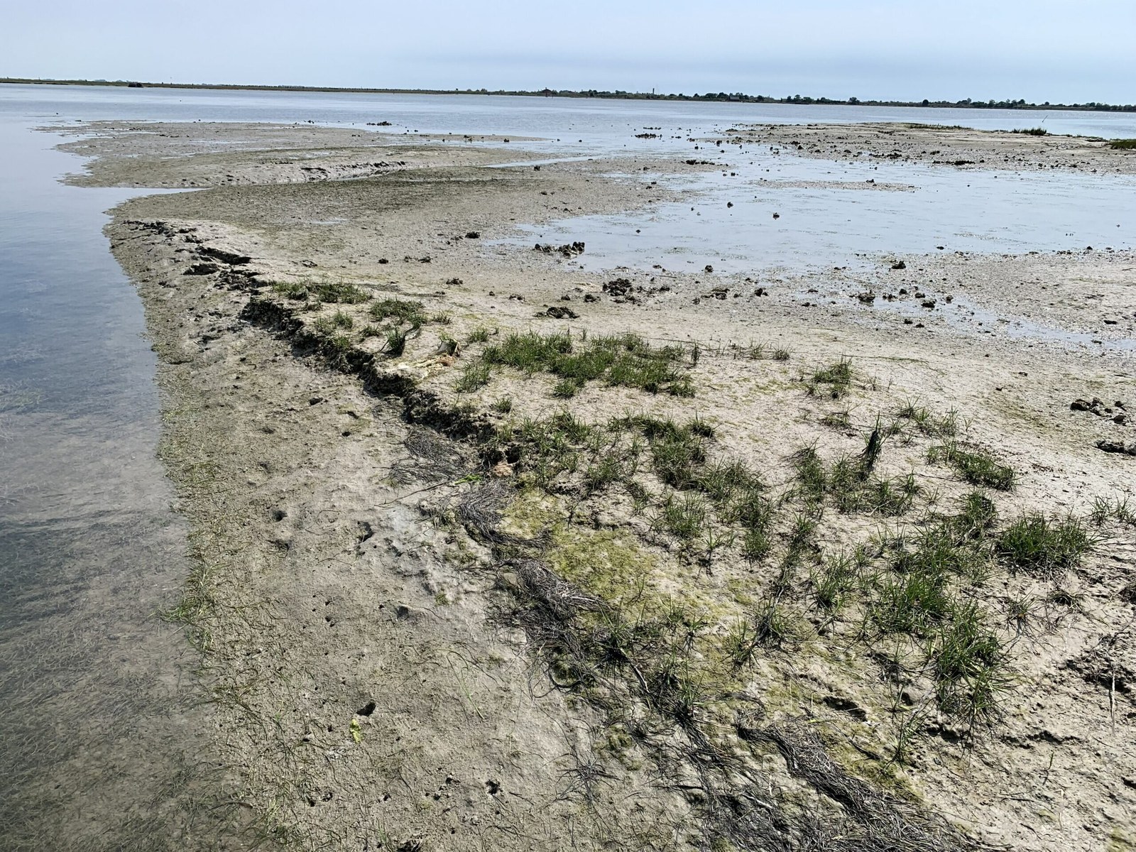 Venice Lagoon provides living laboratory for researchers studying climate change