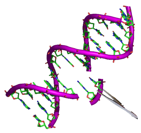 Genetik mühendisliği: Genetic Engineering
