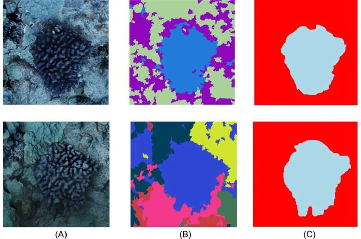 New imaging technologies offer a clearer view of coral reef change