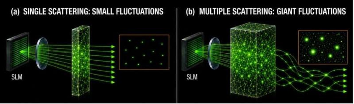 Giant fluctuations of focused light in complex scattering media. (a) In the single-scattering regime, light experiences relatively weak scattering as it propagates through the medium, resulting in small fluctuations in the enhancement factor. (b) In the multiple-scattering regime, repeated scattering generates long-range mesoscopic correlations between optical pathways, leading to giant fluctuations in the enhancement factor. These enhanced fluctuations provide a sensitive statistical signature of mesoscopic wave transport. Credit: Siba Özdeş Giant Fluctuations of Focused Light Reveal Hidden Correlations in Complex Media