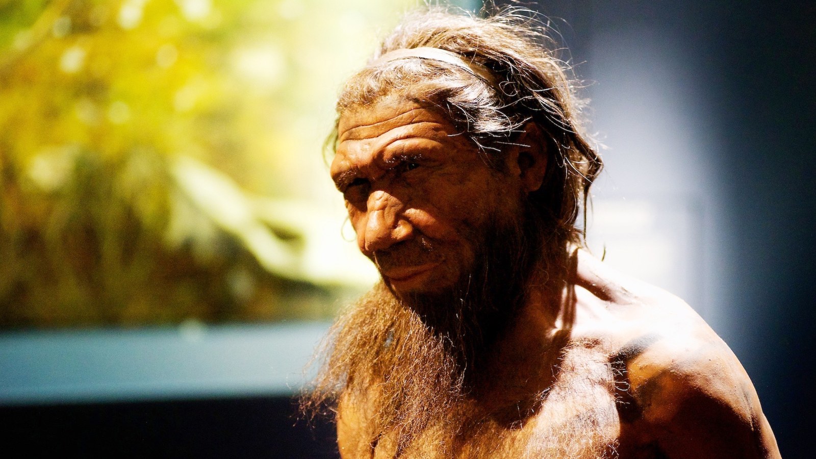 Arkeologlar, Neandertallerin Odun İşçiliğindeki Başarısına İlişkin Örneksiz Kanıtları Ortaya Çıkardı