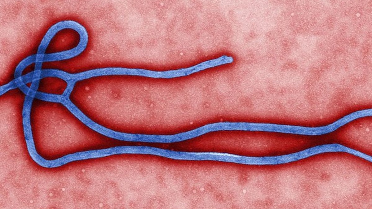 Somali Sağlık Otoriteleri, Dünya Sağlık Örgütü Destekli Simülasyon Egzersiziyle Ebola’ya Hazırlığını Güçlendirdi