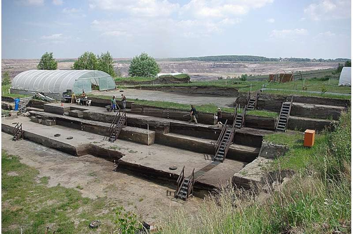 The site at Schöningen. Credit: Leiden University Barbary Macaques in Northern Germany: researchers discover a more than 300,000-year-old tooth