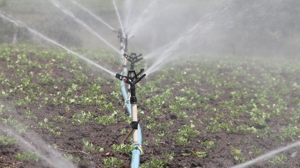 AB Tarım Sulaması: Salinan Yeşil Gaz Emisyonlarından Kaybolan Faydalar, Çıkardığı Zarardan 363 Kat Fazla
