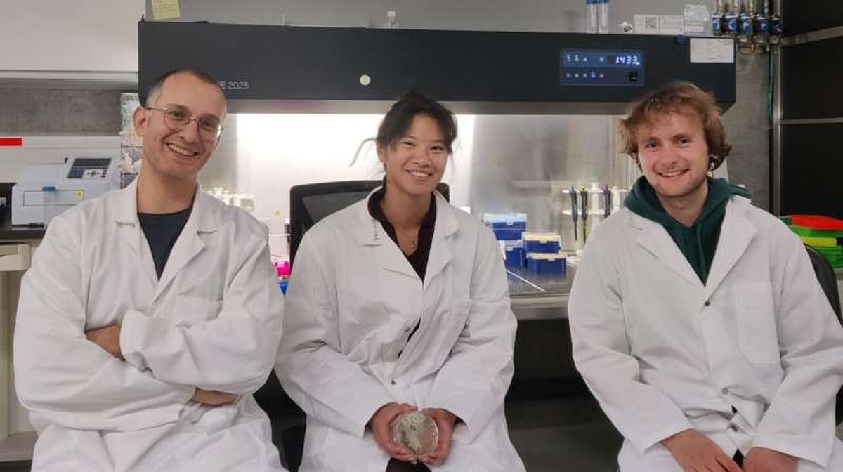 F. Avino, L. Song, L. Pipoz - © 2026 SPC/EPFL