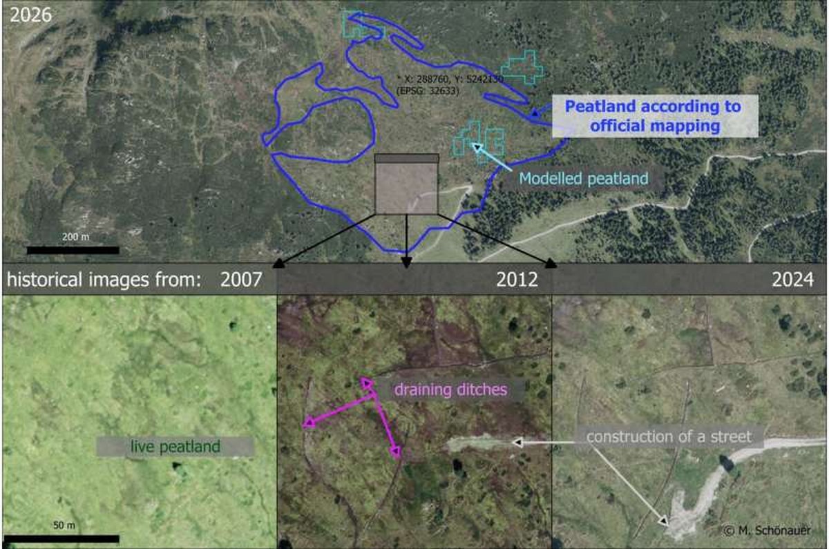 There are significant discrepancies between official maps of peatlands and information from satellites. However, historical aerial photographs show that new drainage ditches may have led to the degradation of the land. Credit: Marian Schönauer Alpine peatlands under pressure
