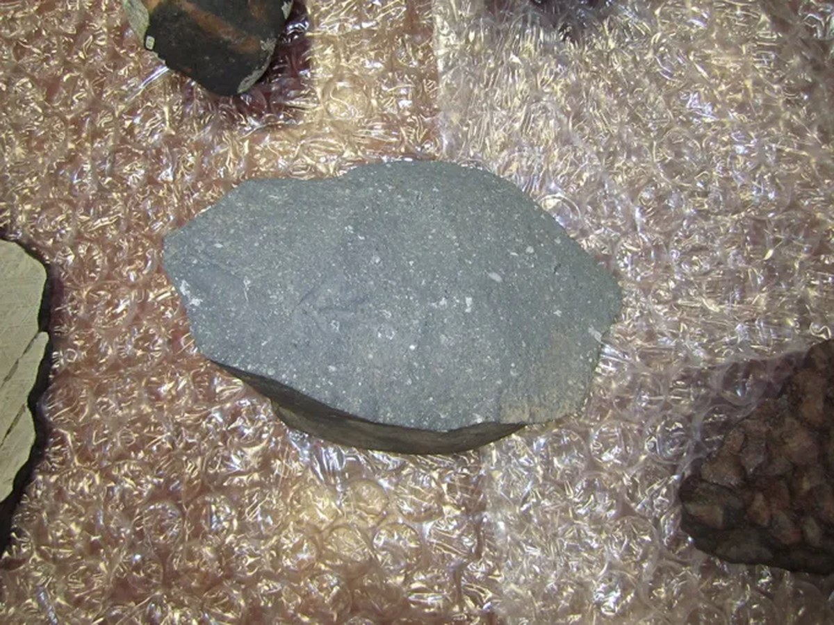 A meteorite with minerals that could explain features of the early solar system