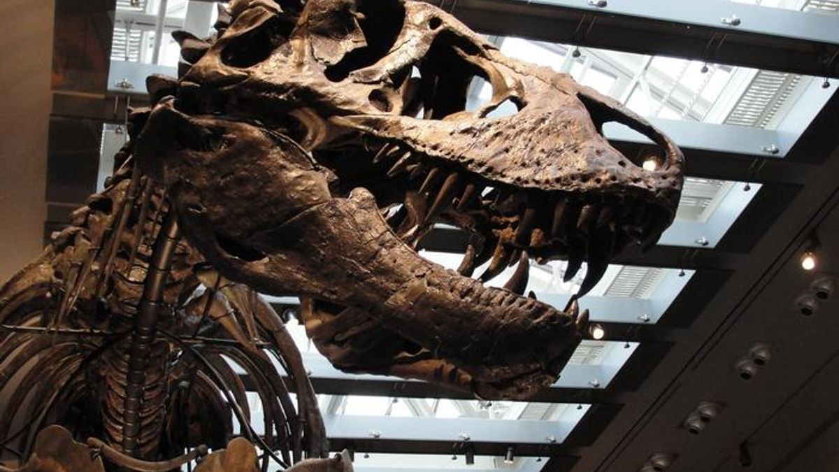 66 Milyon Yıllık T. Rex Dişlerinden İnsan Kadar Sıcak Bir Vücut Isısı Tespit Edildi