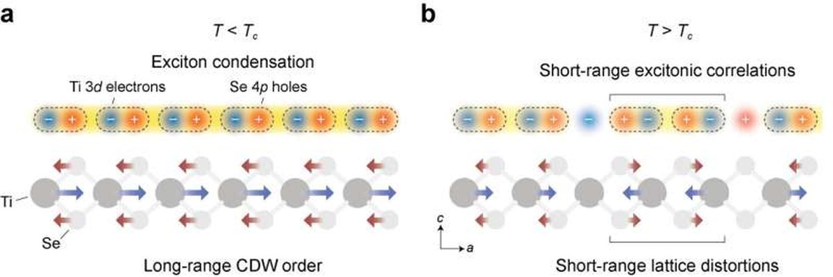 Ultrafast core-level spectroscopy reveals the elusive precursors of exciton condensation in quantum materials