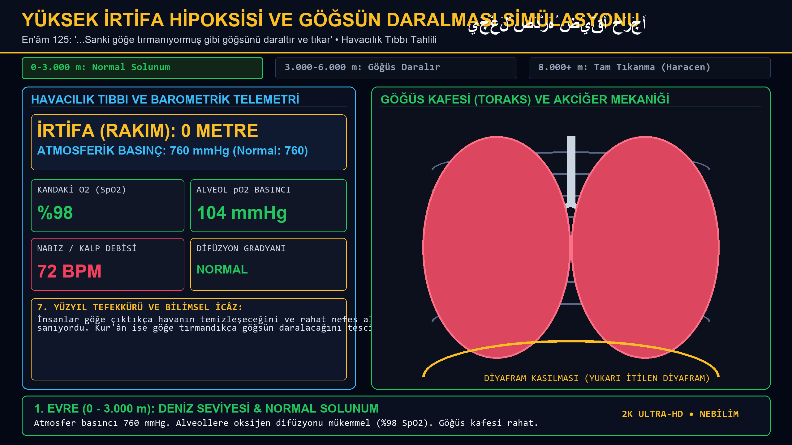Yüksek İrtifa Hipoksisi ve Göğsün Daralması 2K Ultra-HD Simülasyon